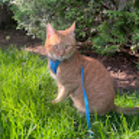 Meet your Posher, Mary - Picture 1 of 1